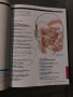 An Introductory Guide to Anatomy & Physiology, снимка 3