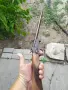 Малка стара пушка, снимка 16