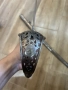 Швейцарска Сабя Нож Щик, снимка 6