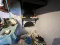 🏡 КЪЩА С ГОЛЯМ ДВОР В С. СТРУЙНО! , снимка 4