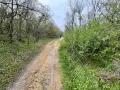 Парцел 907 кв.м. в Казанлък Вилна Зона "Стари Лозя" зад Художествената Гимназия , снимка 6