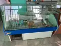 Хладилна витрина, снимка 2