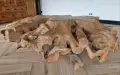 Дизайнерска Холна маса , снимка 3