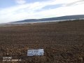 Продава парцел !с.Тополи ! Собственик !, снимка 4