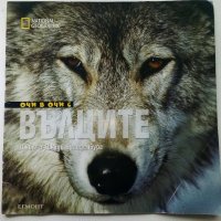 National Geographic:Очи в очи с Вълците - Джим и Джуди Бранденбург, снимка 1 - Списания и комикси - 38925989