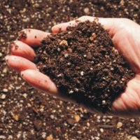 Почвена смес за РАЙГРАС, трева, чимове. Тор рохкава смес, богата на полезни микроелементи. , снимка 1 - Тор и почвени смеси - 42132445