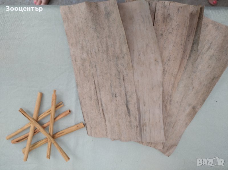 Бананови листа, снимка 1