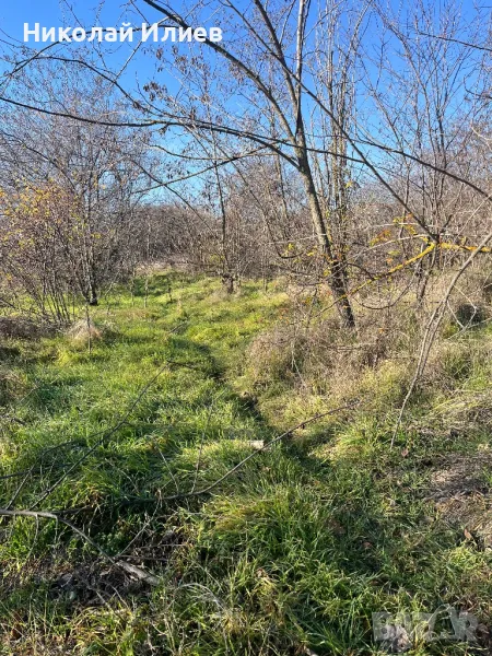Парцел гр.Аксаково,м-т Кум Тепе, снимка 1