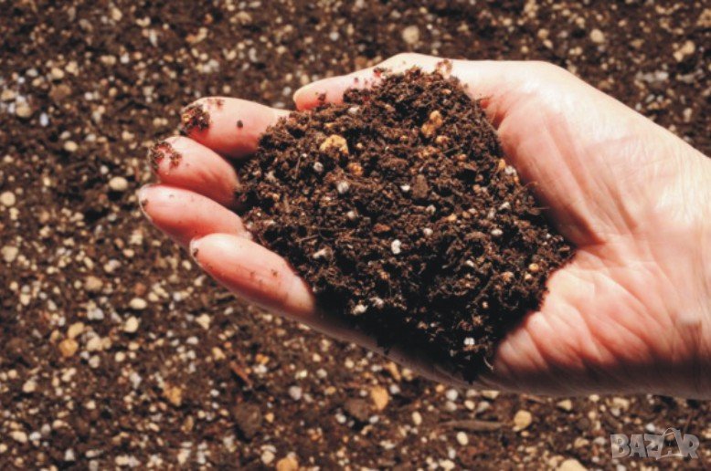Почвена смес за РАЙГРАС, трева, чимове. Тор рохкава смес, богата на полезни микроелементи. , снимка 1