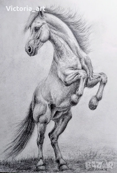 Картина Кон с молив , снимка 1