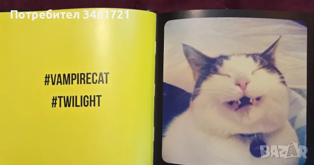 Cat Selfies албум     , снимка 3 - Изкуство, музика, кино и фотография - 55817036