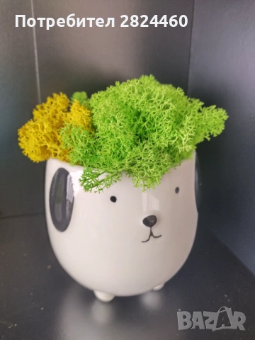 Кашпа със скандинавски мъх, снимка 4 - Декорация за дома - 54323122