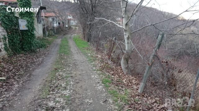 Парцел с. Цар Калоян , снимка 3 - Земеделска земя - 49153159