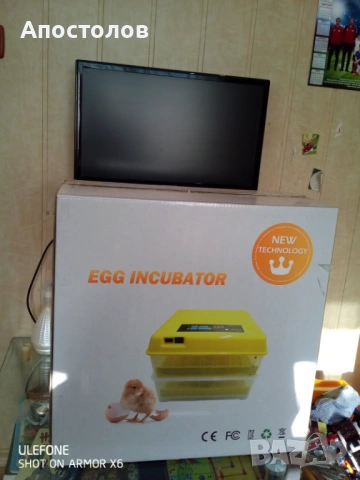 Автоматичен инкубатор за 56 яйца с влагомер и захранване 220+12 волта