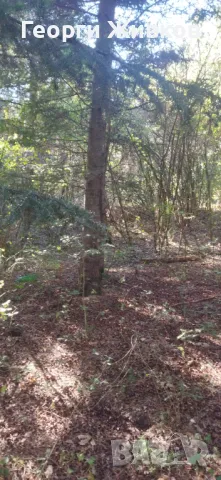 Парцел, снимка 5 - Парцели - 47712585