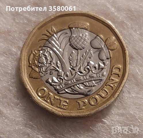 Елизавета 2 2017г one pound, снимка 2 - Нумизматика и бонистика - 53046897