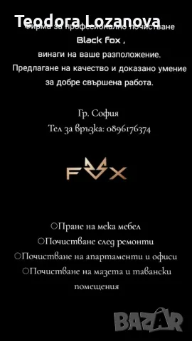 професионално почистване , снимка 2 - Почистване на домове - 49194593