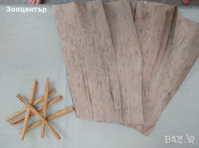 Бананови листа, снимка 1