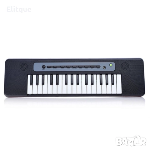 Детска йоника с микрофон, снимка 3 - Музикални играчки - 52753288