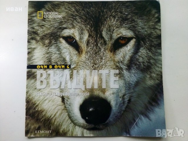 National Geographic:Очи в очи с Вълците - Джим и Джуди Бранденбург, снимка 1 - Списания и комикси - 38925989