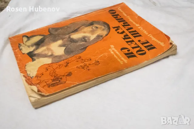 Обичаш ли кучето си - Христо Георгиев, Райна Георгиева 1990, снимка 2 - Детски книжки - 48635244