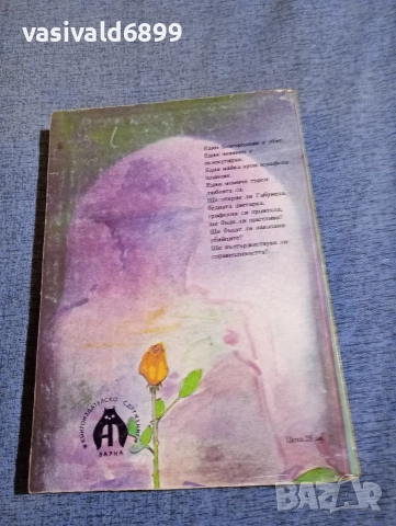 Ксавие дьо Монтепен - Хубавата Габриела , снимка 3 - Художествена литература - 52795613