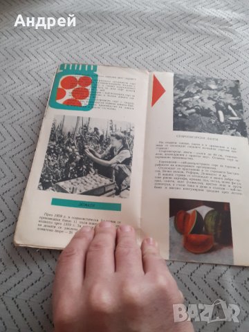 Стара брошура България Страна на зеленчуците, снимка 2 - Други ценни предмети - 31670808