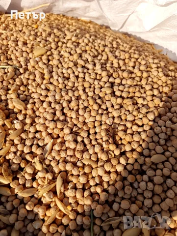 нахут.              ., снимка 2 - Домашни продукти - 56455930