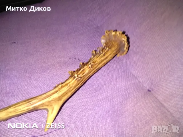 Дръжка за нож от еленов рог 225мм на 20мм отлична, снимка 6 - Ножове - 48001087
