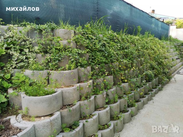 Терасиране на двор,подпорни стени, снимка 9 - Градински цветя и растения - 21446071