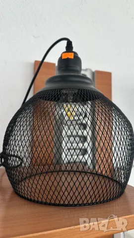 Полилей , снимка 2 - Полилеи - 49748726