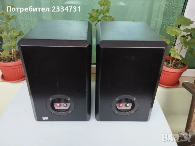 Малки може би поръчкови колонки , снимка 6 - Тонколони - 55941235