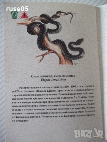 Книга "Змиите на Странджа-Спас Узунов/Иван Вълчев" - 14 стр., снимка 4 - Специализирана литература - 54097533