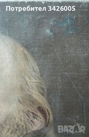 Портрет на Гарибалди, снимка 7 - Антикварни и старинни предмети - 42473233