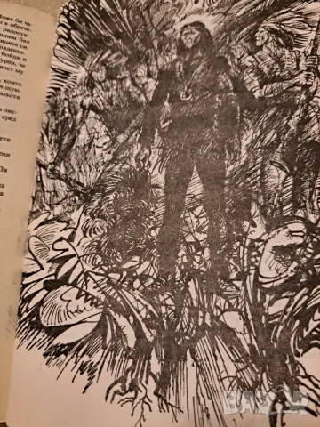 Оцеола - Майн Рид, снимка 3 - Художествена литература - 47285742