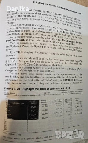 Книга AppleWorks за APPLE II IIe IIgs, снимка 3 - Специализирана литература - 54306558