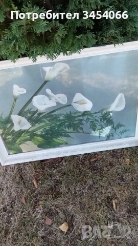 Стари картини, снимка 3 - Други ценни предмети - 51504973