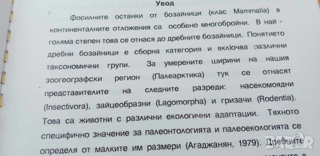 Плиоценски дребно бозайници - дипломна работа, снимка 5 - Специализирана литература - 44655504
