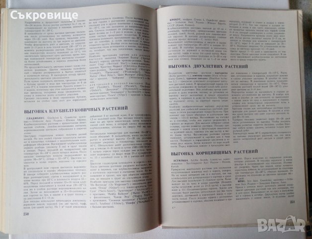 Енциклопедия Стайни растения и декоративно цъфтящи храсти на руски Цветы, снимка 10 - Енциклопедии, справочници - 39971976