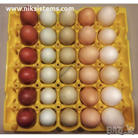 Пластмасова кора за 30 броя Яйца Арт. №: 11562, снимка 5 - Други стоки за животни - 30900607