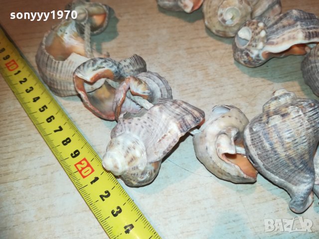 гердан от рапани 2811202032, снимка 7 - Колекции - 30944213