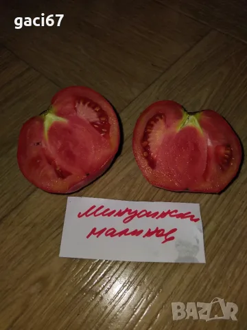 Семена домати и други зеленчуци, снимка 6 - Сортови семена и луковици - 55722577