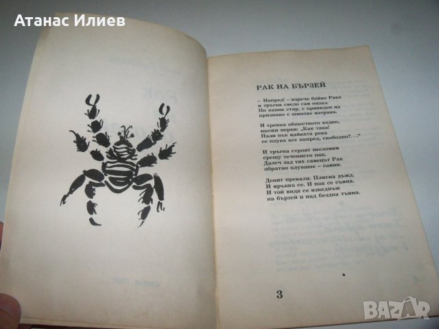 "Рак на бързей" стихове от Илия Балджиев, библиофилско издание, снимка 3 - Художествена литература - 40033609