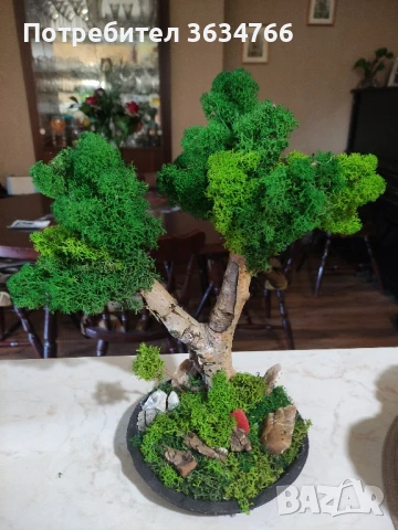 бонзаи със скандинавски мъх, снимка 2 - Декорация за дома - 50815158