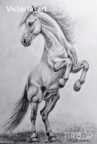 Картина Кон с молив 