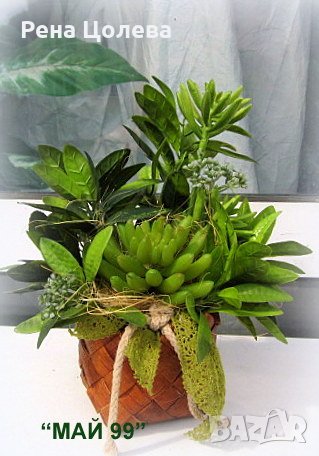 Зелена аранжировка