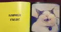 Cat Selfies албум     , снимка 3