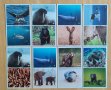 Стикери Билла - Невероятните животни по света