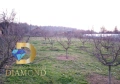 Парцел в село Троян, общ. Симеоновград, снимка 6