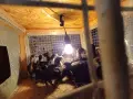 Малки пиленца - различни породи / Малки пилета , снимка 8